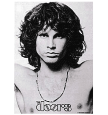DOORS - JIM BARE TOP